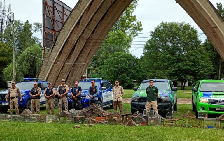 Policía Ambiental rescató 41 ejemplares de fauna silvestre tras allanamientos en Malagueño